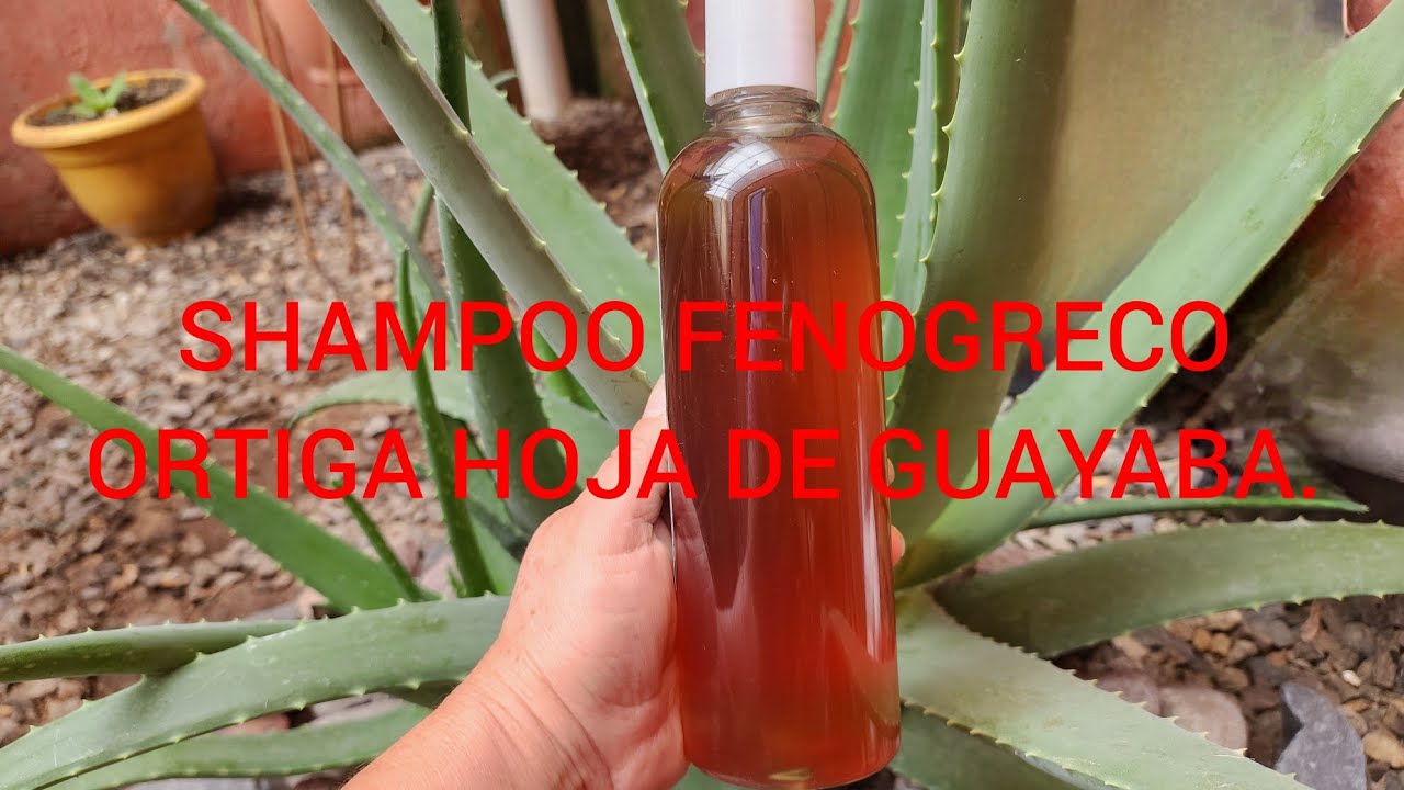 SHAMPOO FENOGRECO COLA DE CABALLO +ORTIGA CLAVO CANELA HOJAS DE GUAYABA.