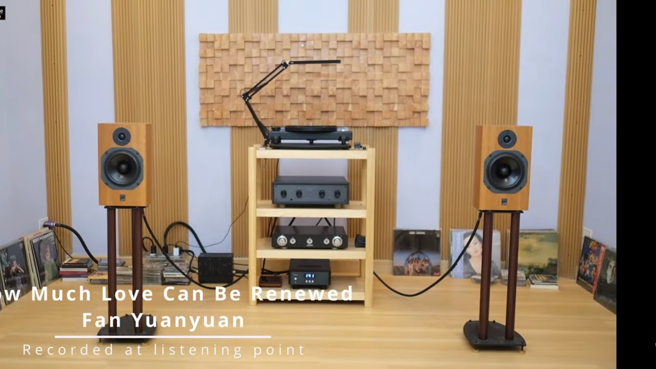 ATC scm11 with MOONRIVER AUDIO 404 Standard