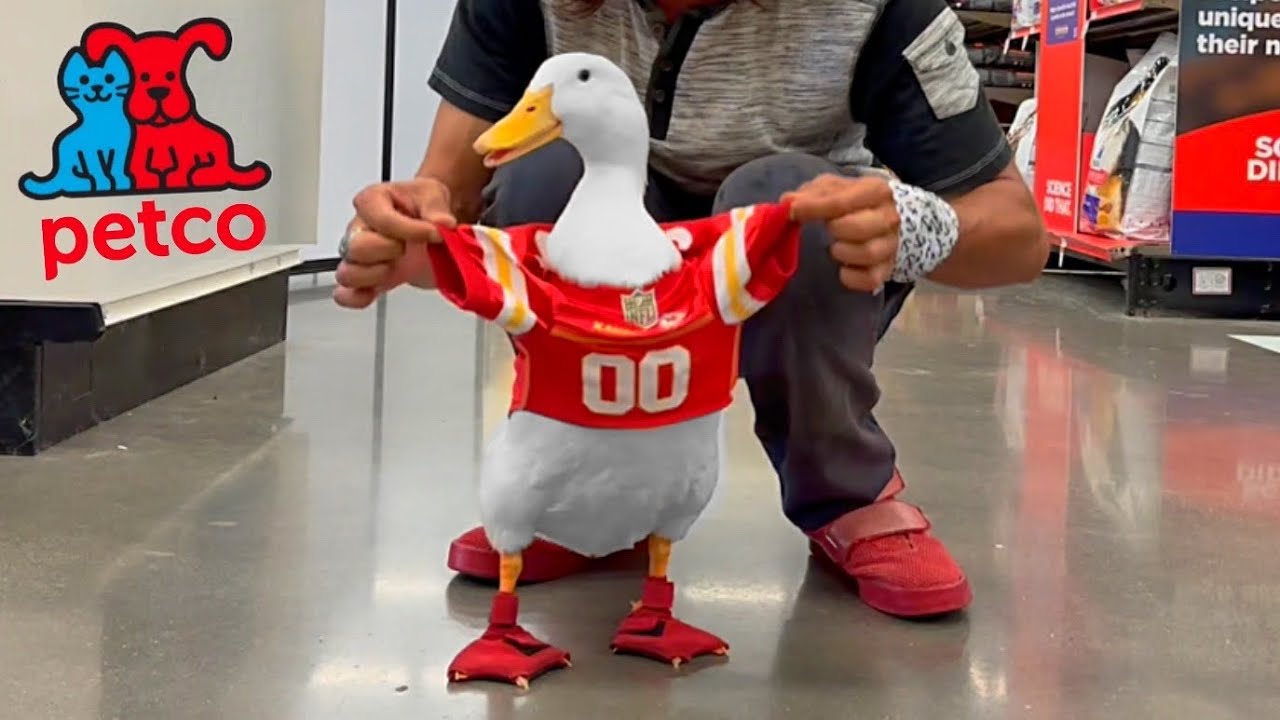 I took my duck to Petco