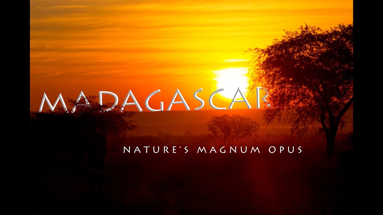 MADAGASCAR: Nature's Magnum Opus (2016)