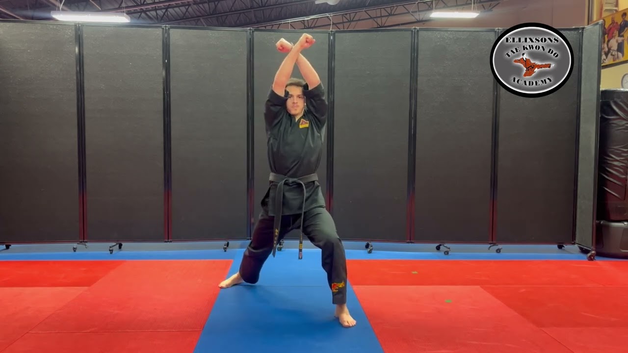 Black Belt Basics Section D