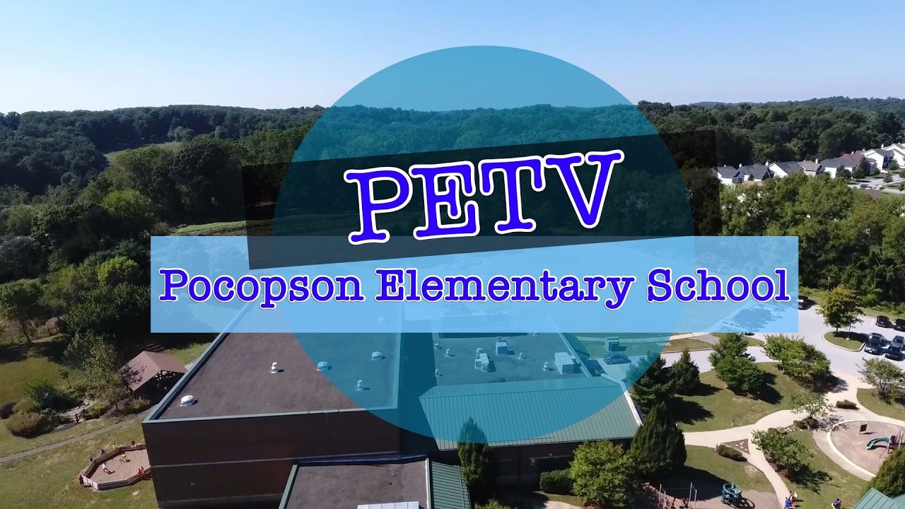 PETV News 2-9