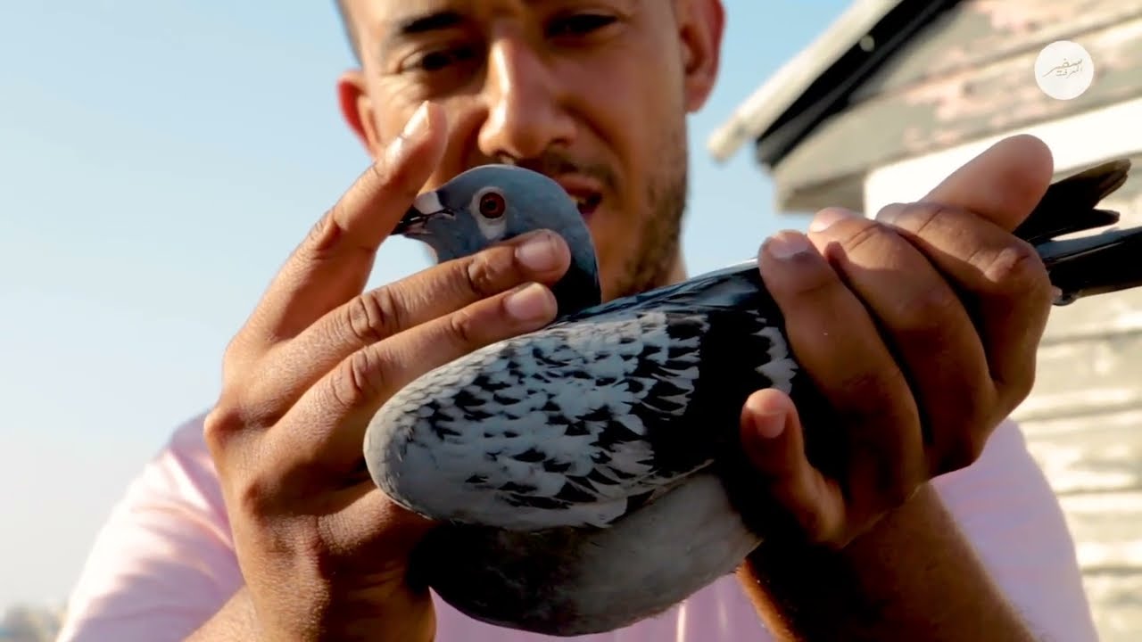 زيارة للبطل عدنان الملقب بأمير المدينة الحاصل على أزيد من 100 شهادة خلال الموسم الحالي فرجة ممتعة