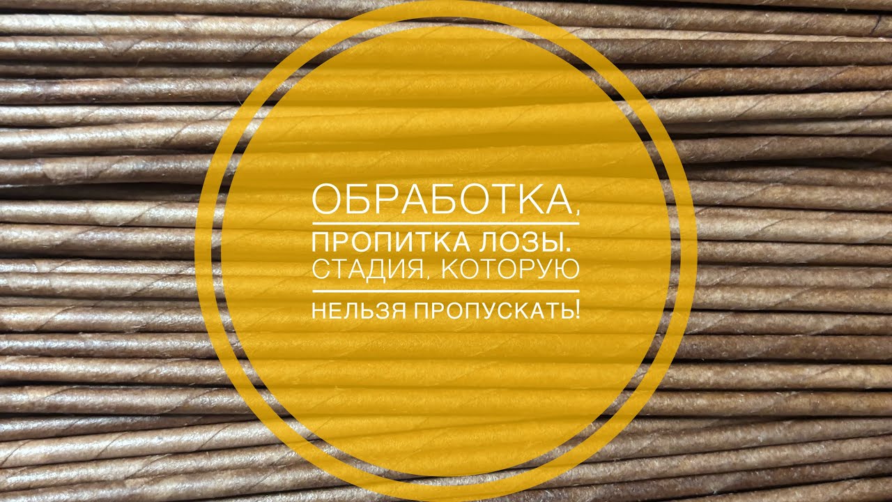 Обработка лозы , пропитка