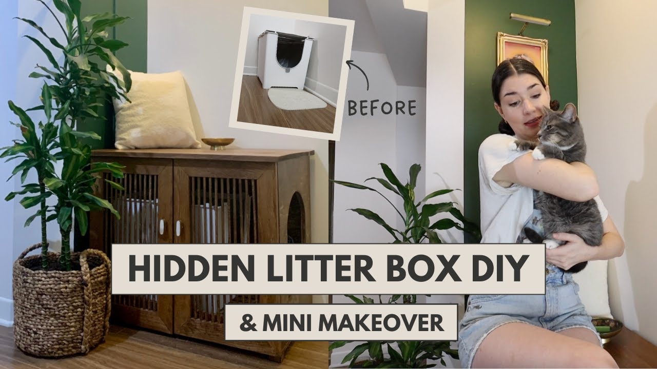 Hidden Litter Box DIY | Mini Makeover | Rental Redone