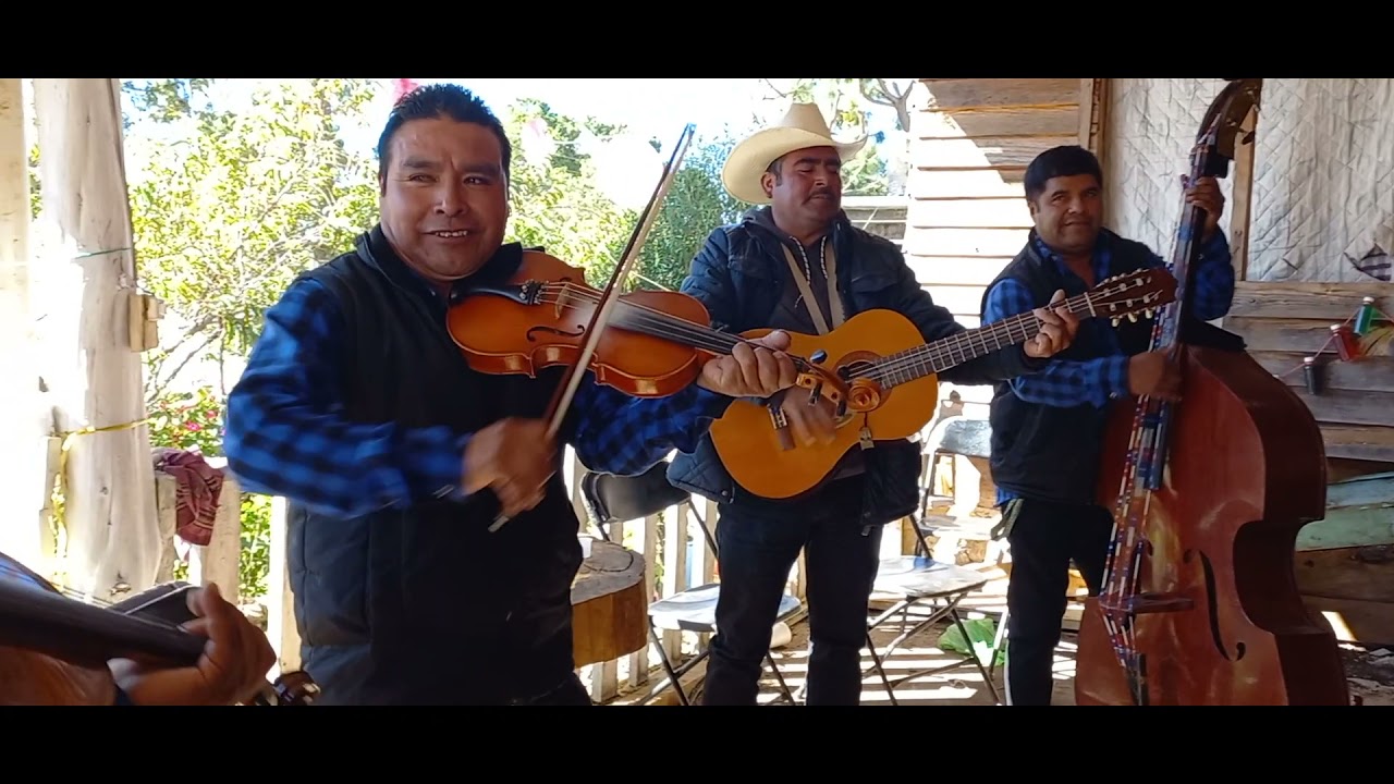 CHINGON SE ESCUCHA LA MUSICA DE CUERDAS CON LOS GUERREROS DE LA MUSICA