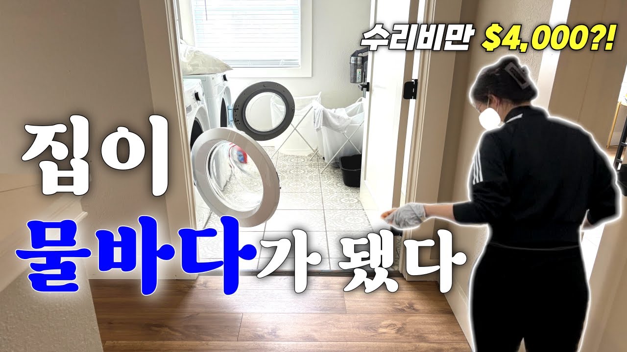 남편이 출장 간 사이, 혼자 집에서 대형사고를 쳤습니다.
