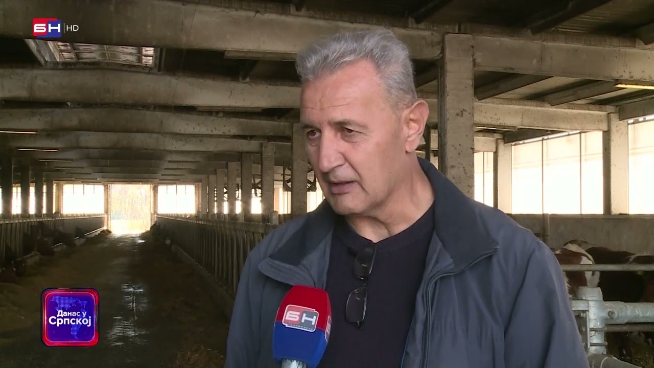U Kozarcu kod Prijedora nalazi se jedinstvena farma norveških goveda u Bosni i Hercegovini