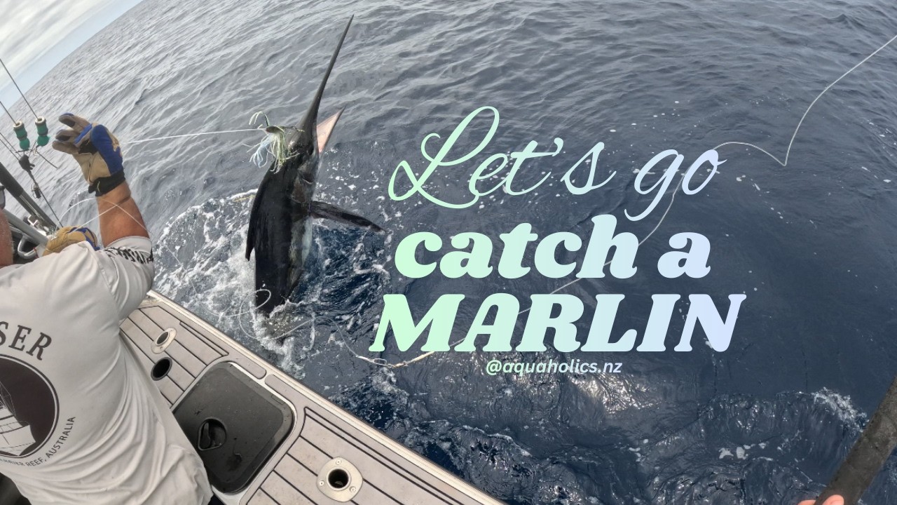 Triple hook up on striped marlin !