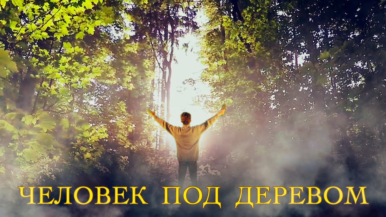 Человек под деревом - Егор и Наталия Лансере - КЛИП