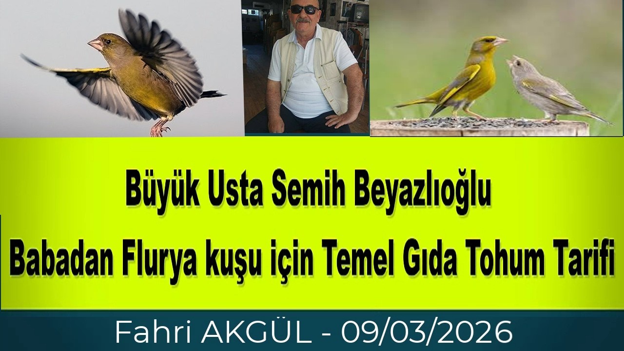 Fahri AKGÜL - Flurya Mekanı - Semih Beyazlıoğlu Flurya kuşu nasıl bakılır tarifi veriyor