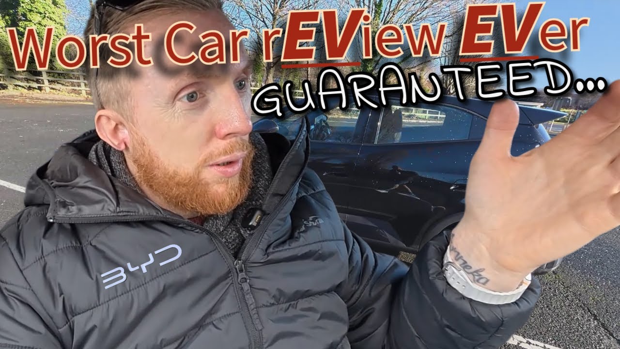 Thinking of going Electric? BYD Dolphin Surf, Great car but worst rEView EVer. Honest Owner Review.