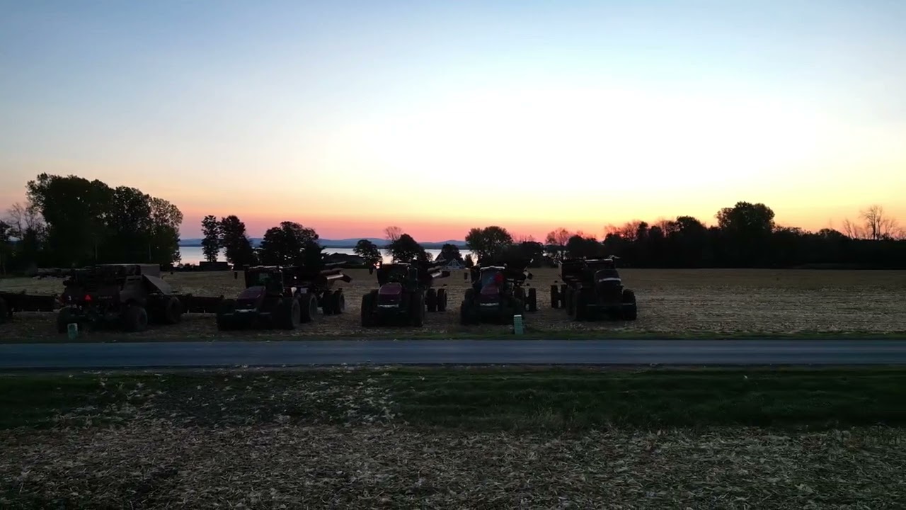 SUNRISE HARVEST