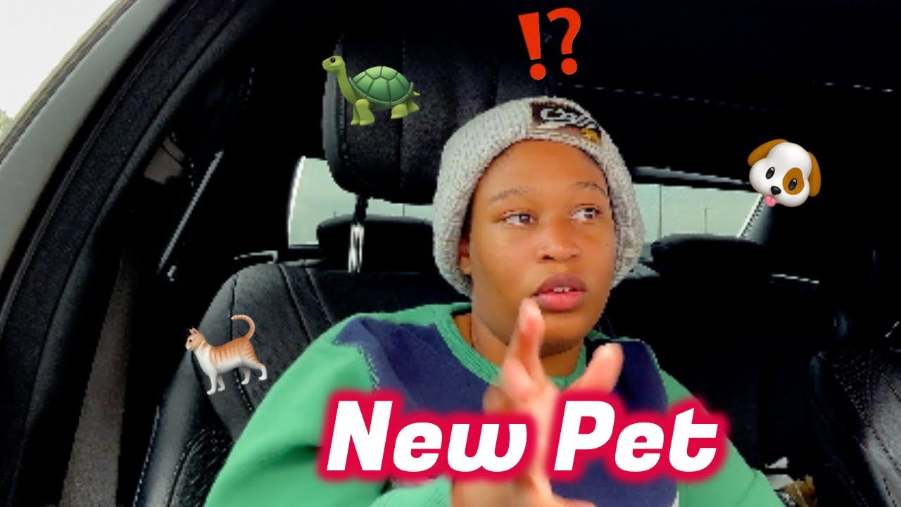 MEET MY NEW PET!