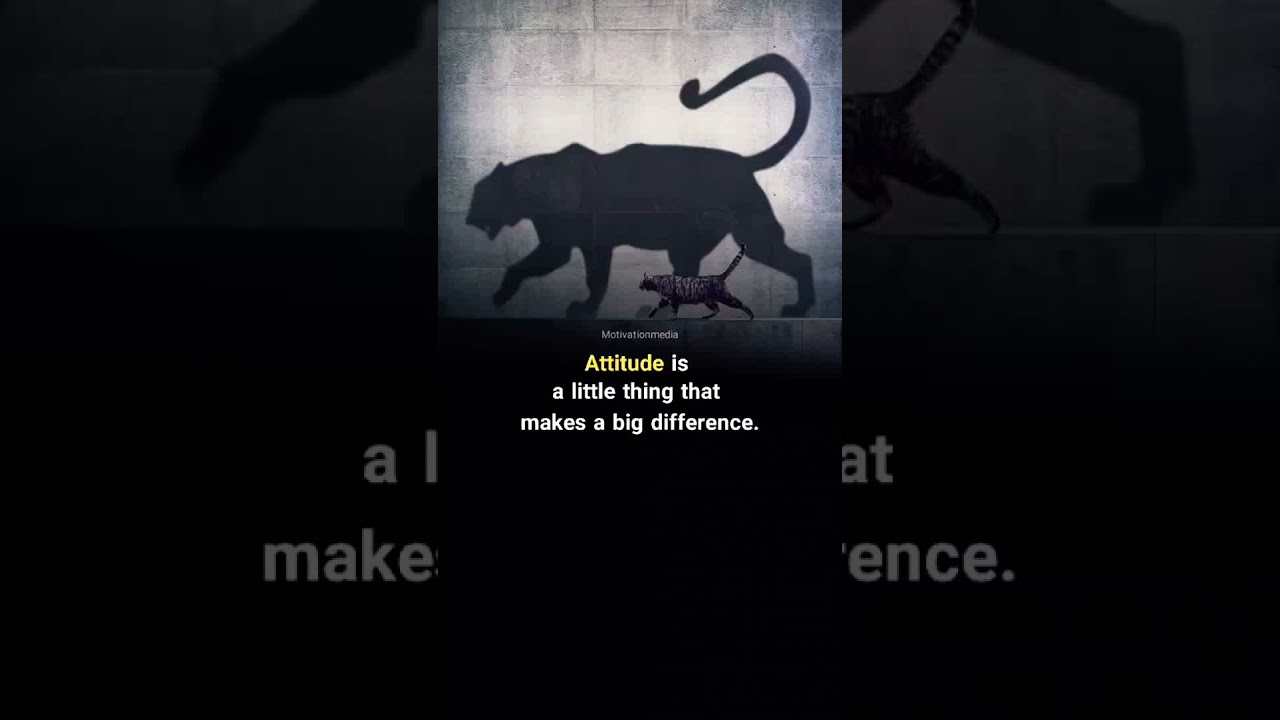 attitude e