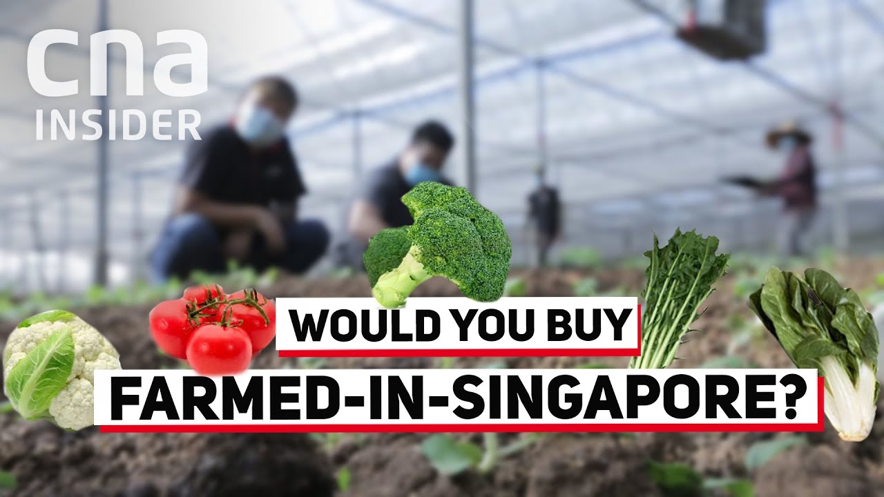 Why Aren’t Singaporeans Buying More Locally Farmed Produce?