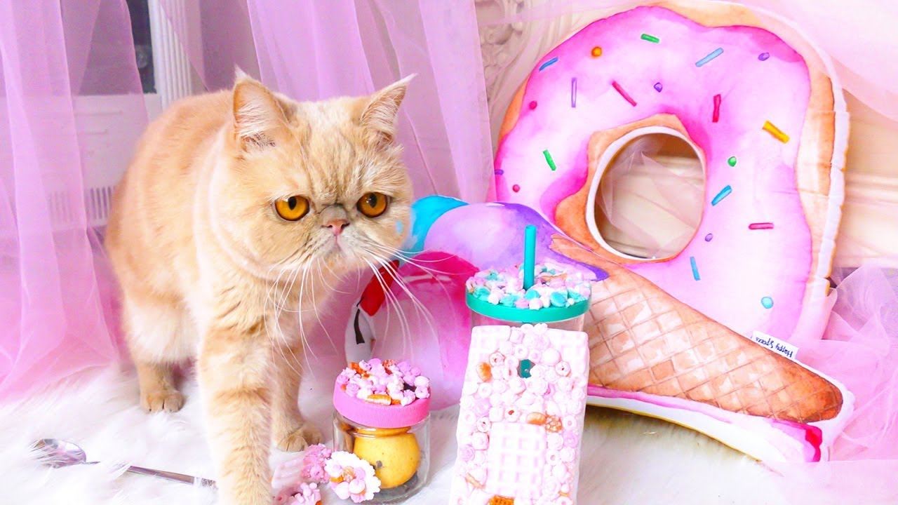 МОЯ кошка потерялась! ГДЕ мне ее найти? Удивительные лайф хаки. Смешные пранки и идеи