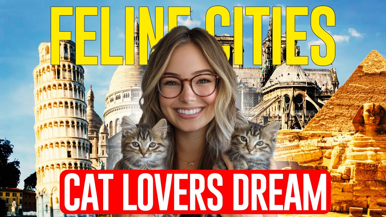 Top 10 Cat-Lover's Dream Destinations: Exploring the World's Most Feline-Friendly Cities