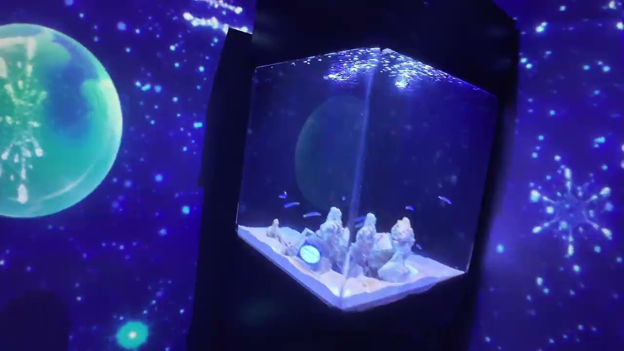 POV: Your Dreamy Date at the Aquarium
