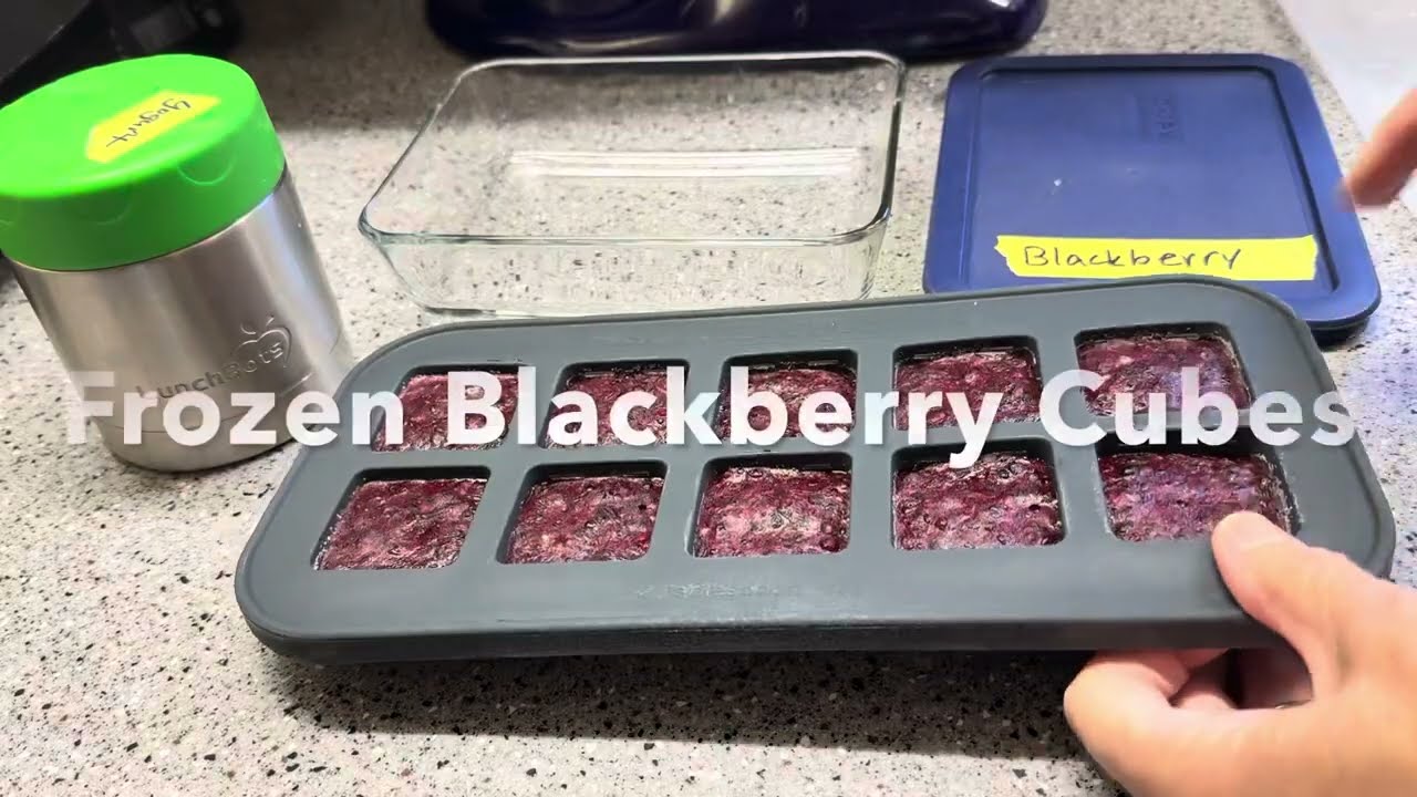 Frozen BlackBerry Cubes for Yogurt Add-Ins | Preserving the BlackBerry Harvest
