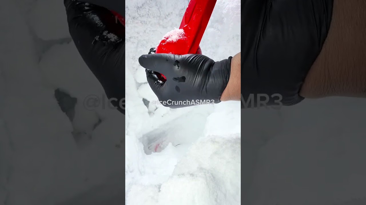 The Double Chill 👑❄️🧊 | Clearing Space & Frost Bites | Freezer Frost ASMR
