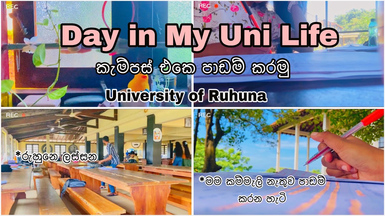 කැම්පස් එකේ තවත් දවසක්🍄😌🍃|මම කම්මැලි නැතුව පාඩම් කරන හැටි 🌚🍃|මූන හංගන්නෙ ඇයි 🙄🙈| #universityofruhuna