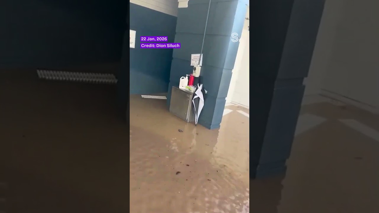 Slip wipes out parts of campsite in Mount Maunganui | Stuff.co.nz