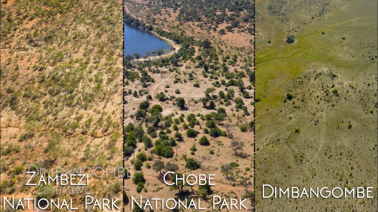 Holistic Management vs. Conventional Management - side by side comparison of grazing results