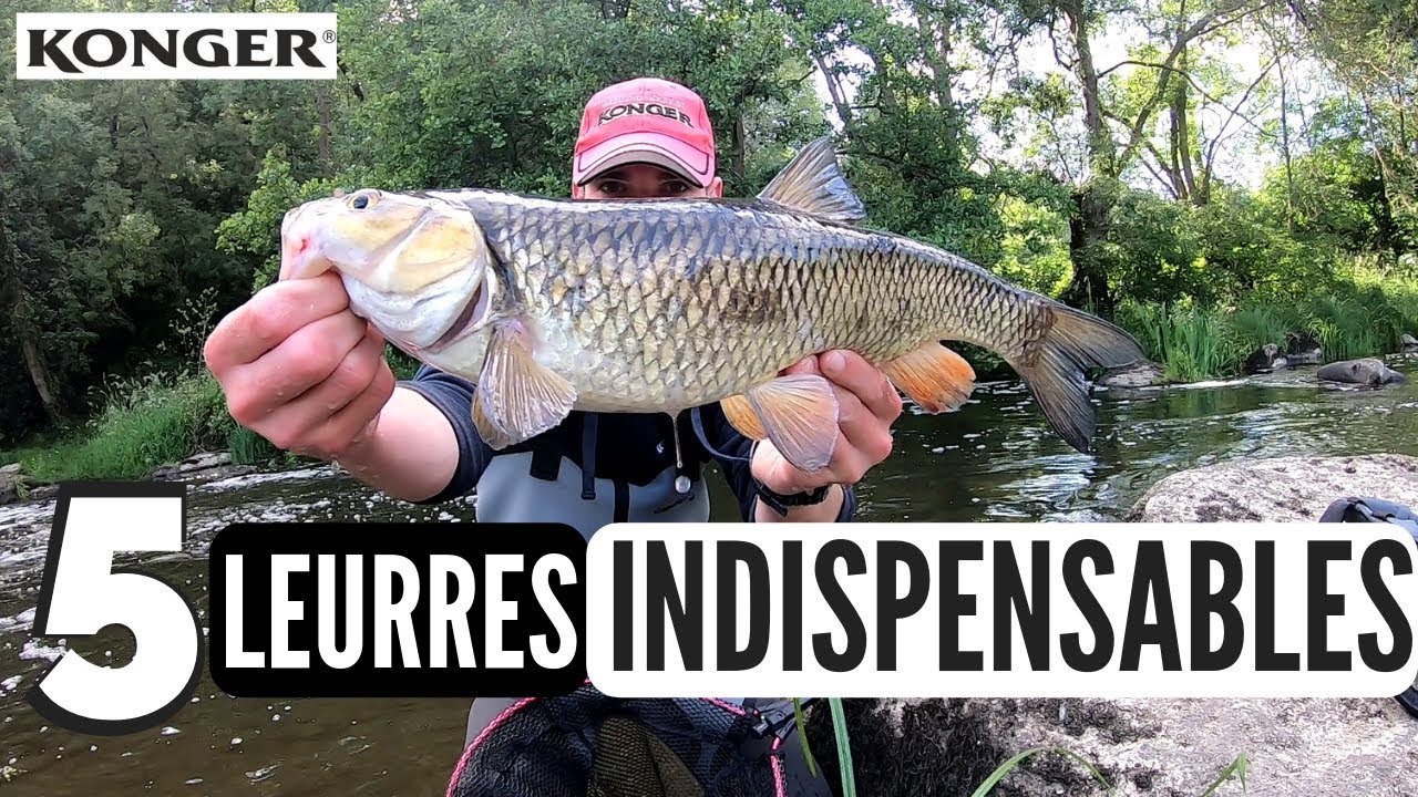 GROS CHEVESNE sur la Sèvre Nantaise au leurre de surface