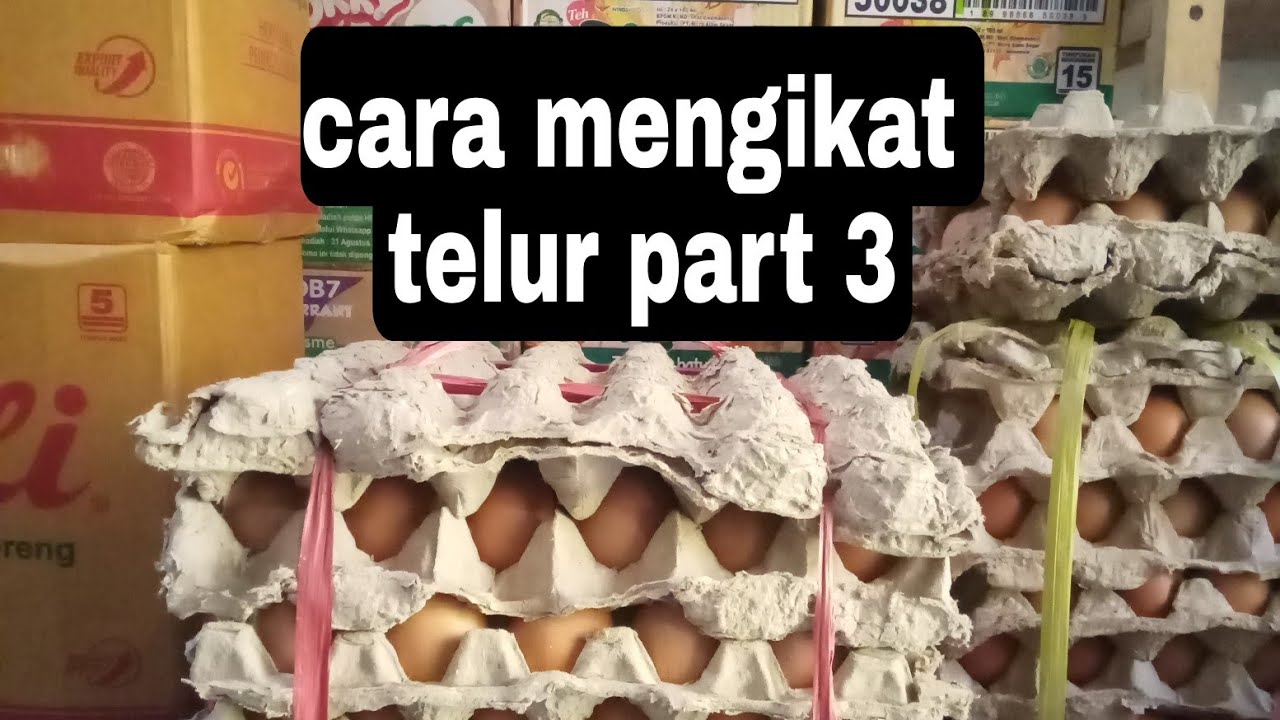 Cara mengikat telur 5papan dengan kuat.