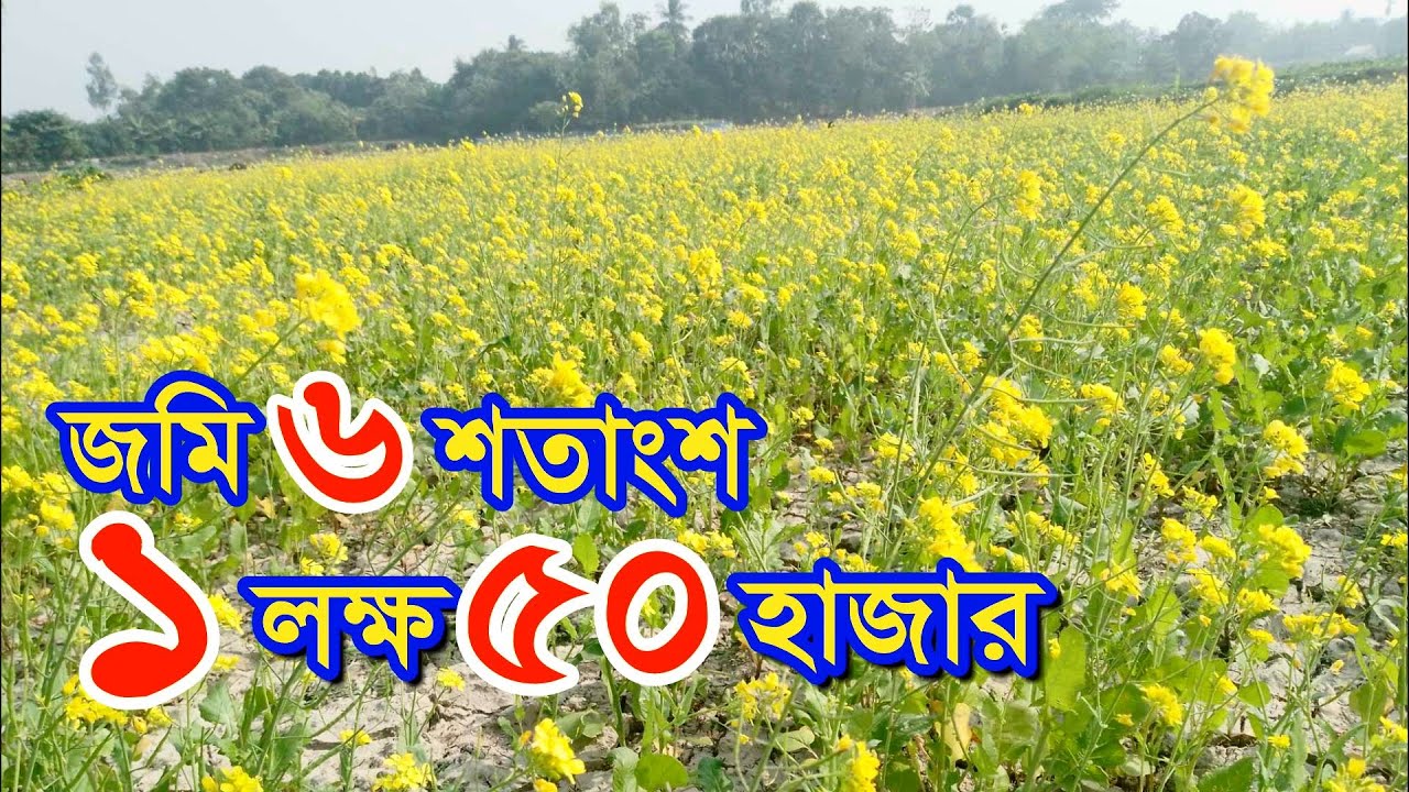 অতি প্রয়োজনে জমি ক্রয় বিক্রয় | land for sale | kom dame jomi bikroy | land sale in gazipur city