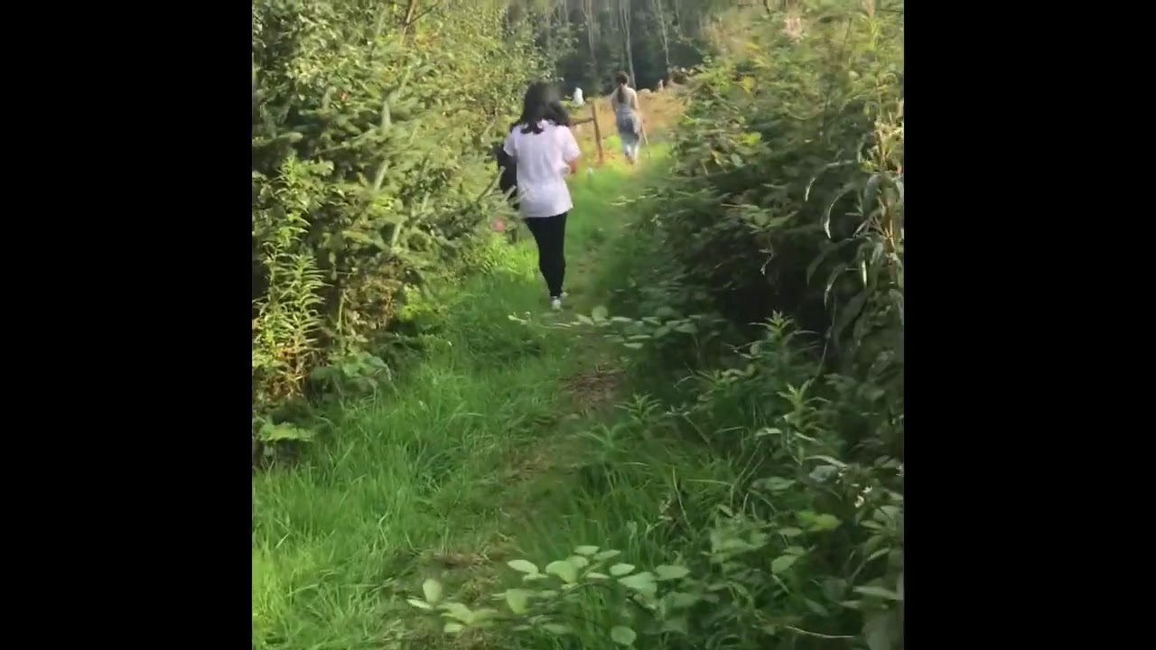 Exploring the megalithic tomb in Killykeen Forest Park in Cavan Ireland