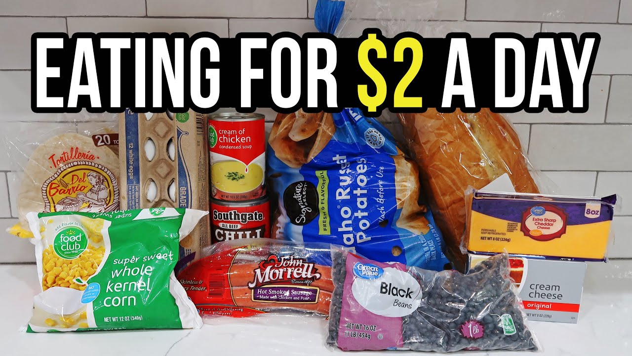 Eating for $2 a Day: Cheap and Healthy Meal Ideas You Need to Try