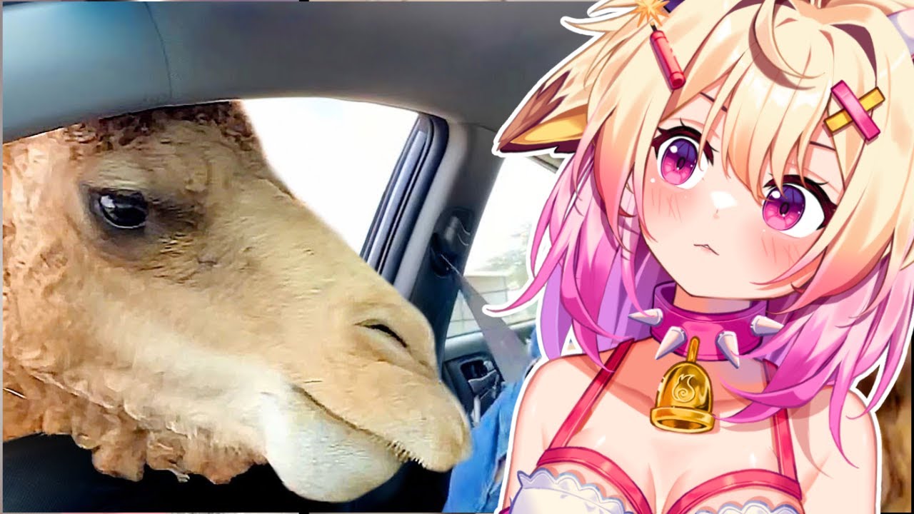 The BEST Memes Of 2024 | Rosiebellmoo Reacts To Daily Dose Of Internet