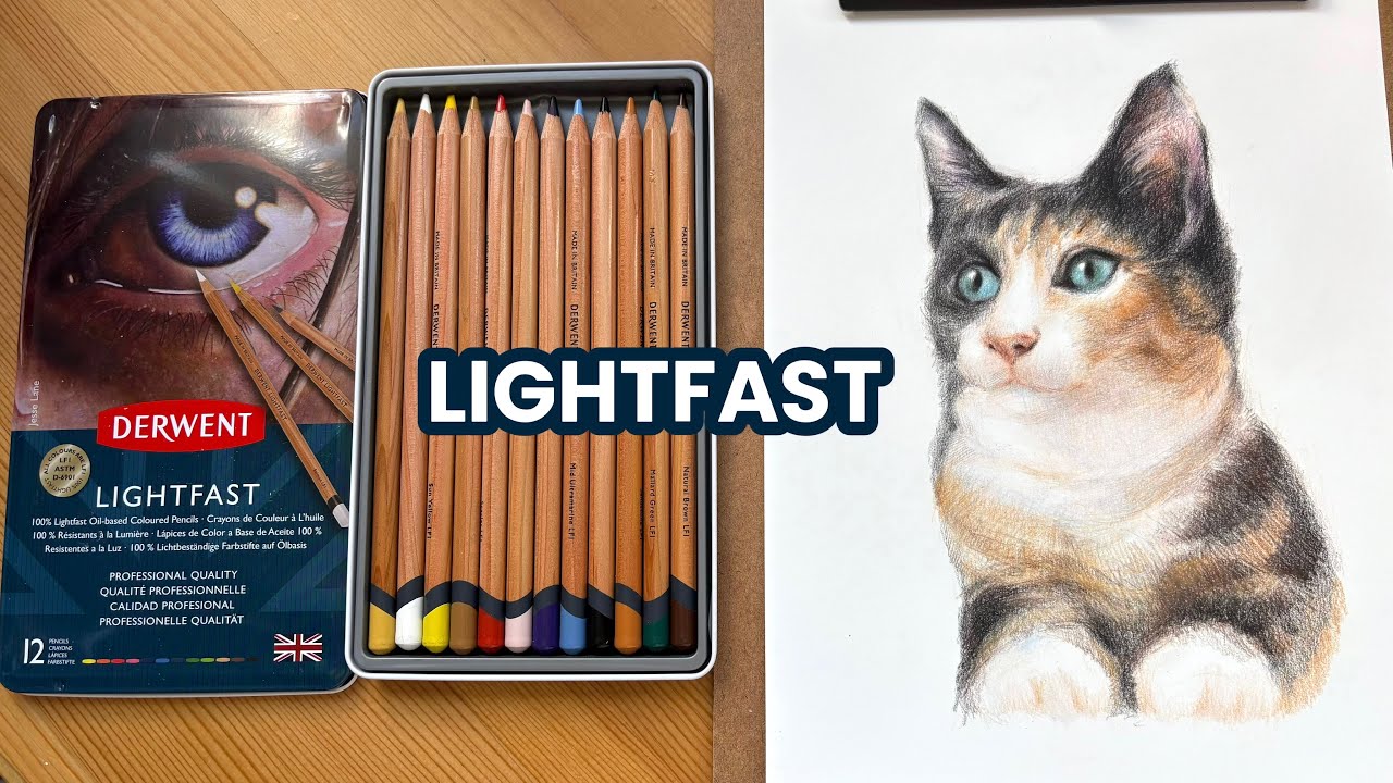 Testing Derwent Lightfast 12 Colour Pencils Swatching & Cat Drawing
