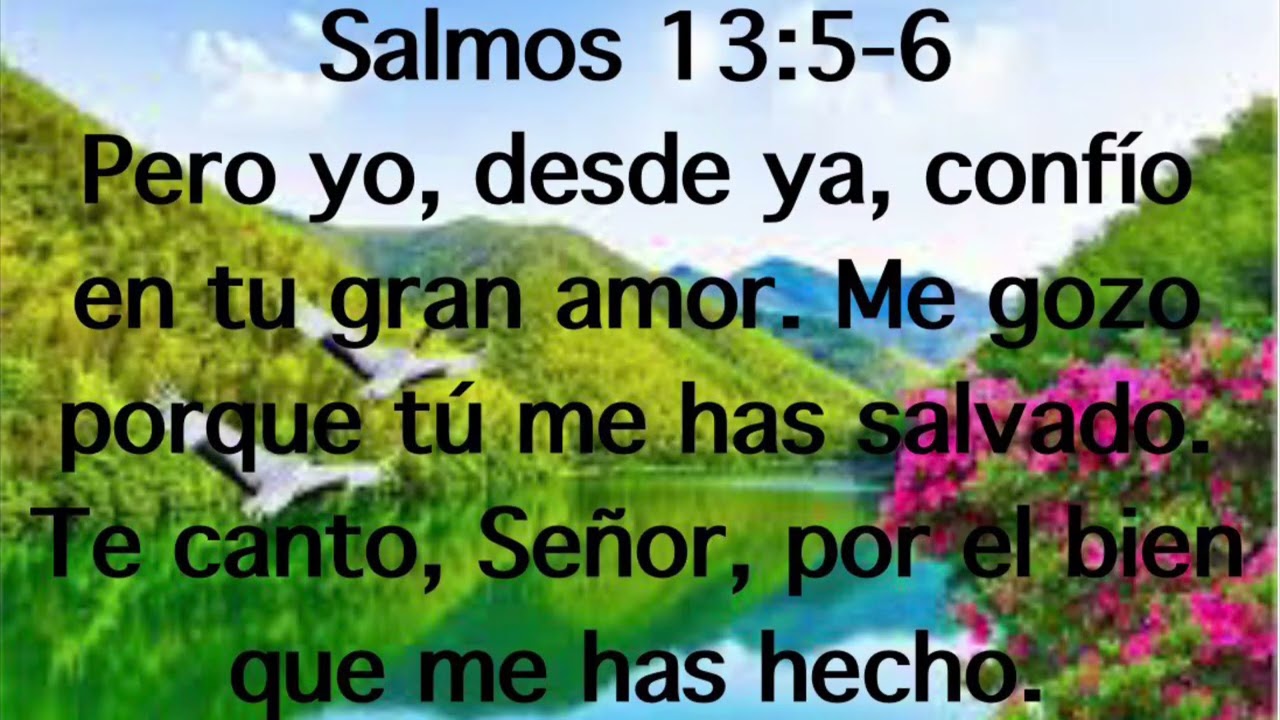 Me haz hecho bien