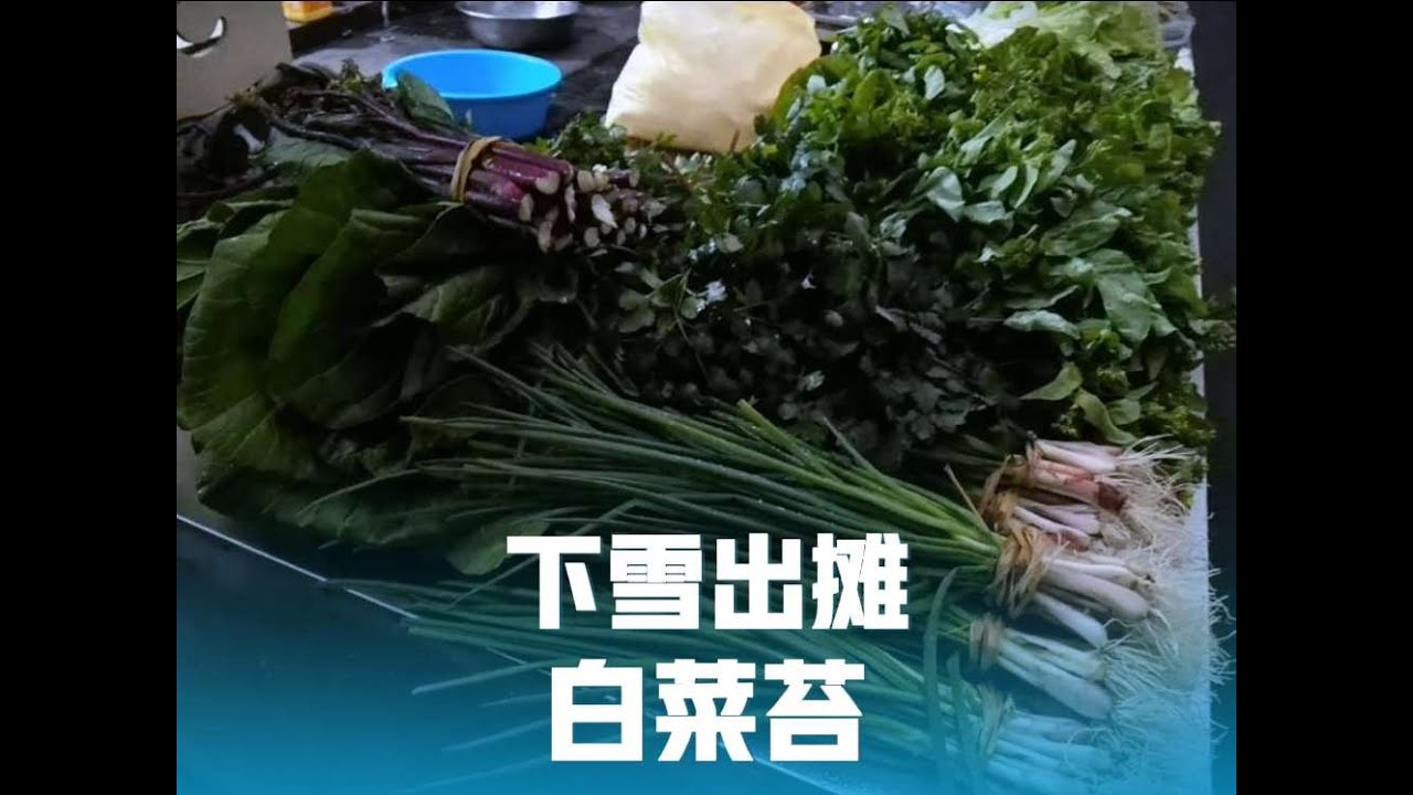 下雪出摊了，白菜白菜苔更受欢迎，本地白莴笋真不错，买一大包！
