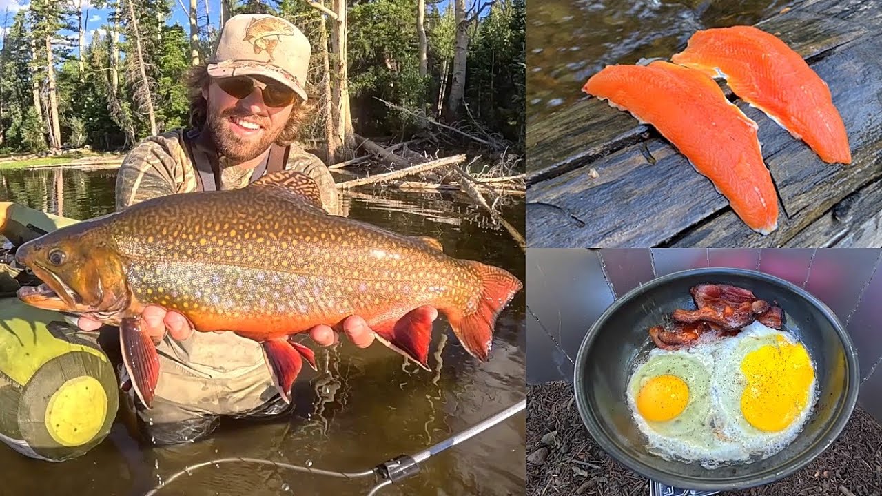 5 Pound Brook Trout + Firebox Stove Catch N’ Cook!!!