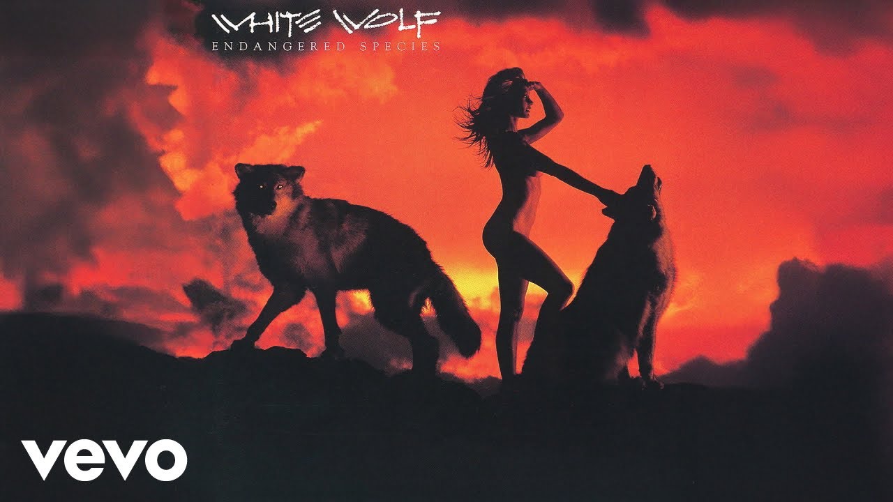 White Wolf - She (Official Audio)