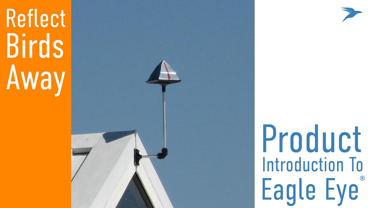 Bird Barrier Eagle Eye Introduction