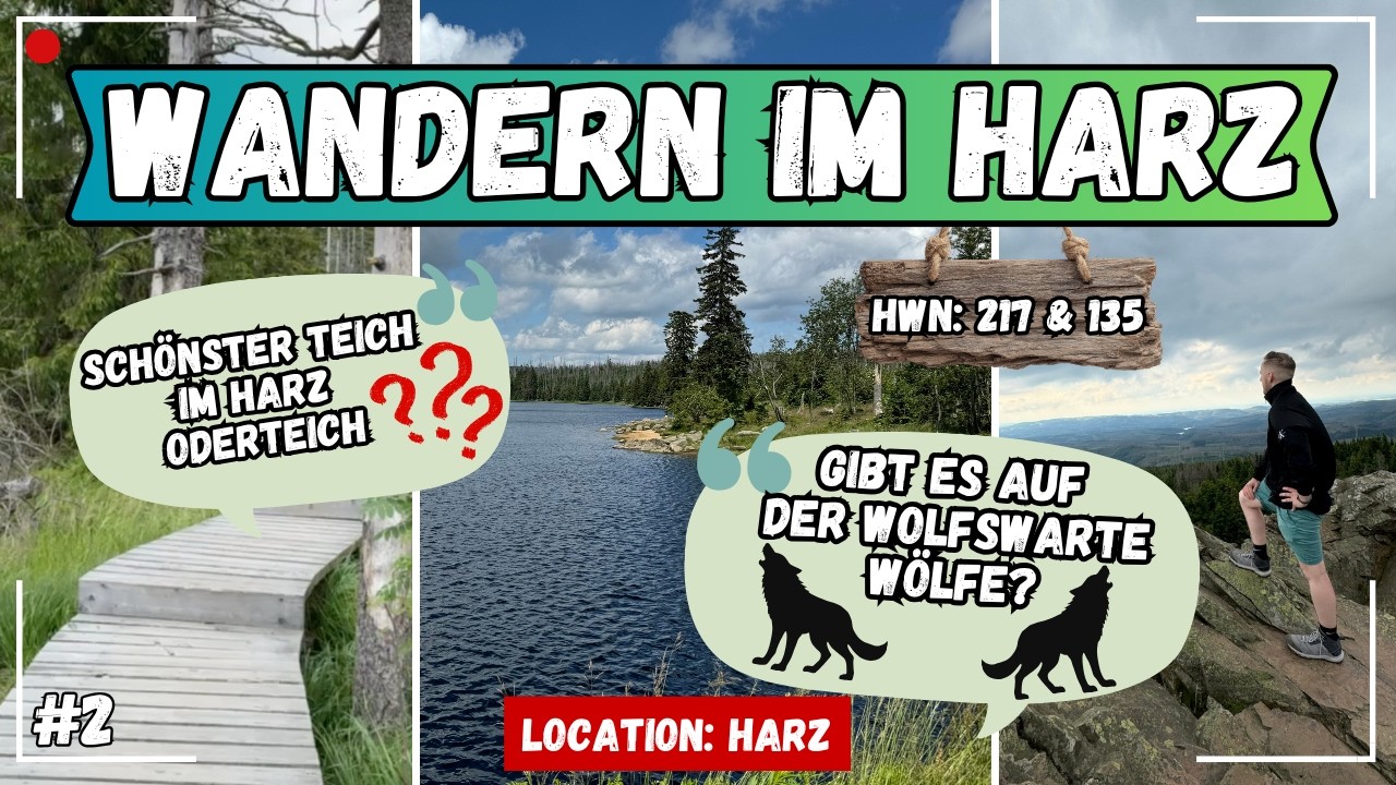 🪄 MAGISCHE NATUR: „Vom Oderteich zur Wolfswarte!“