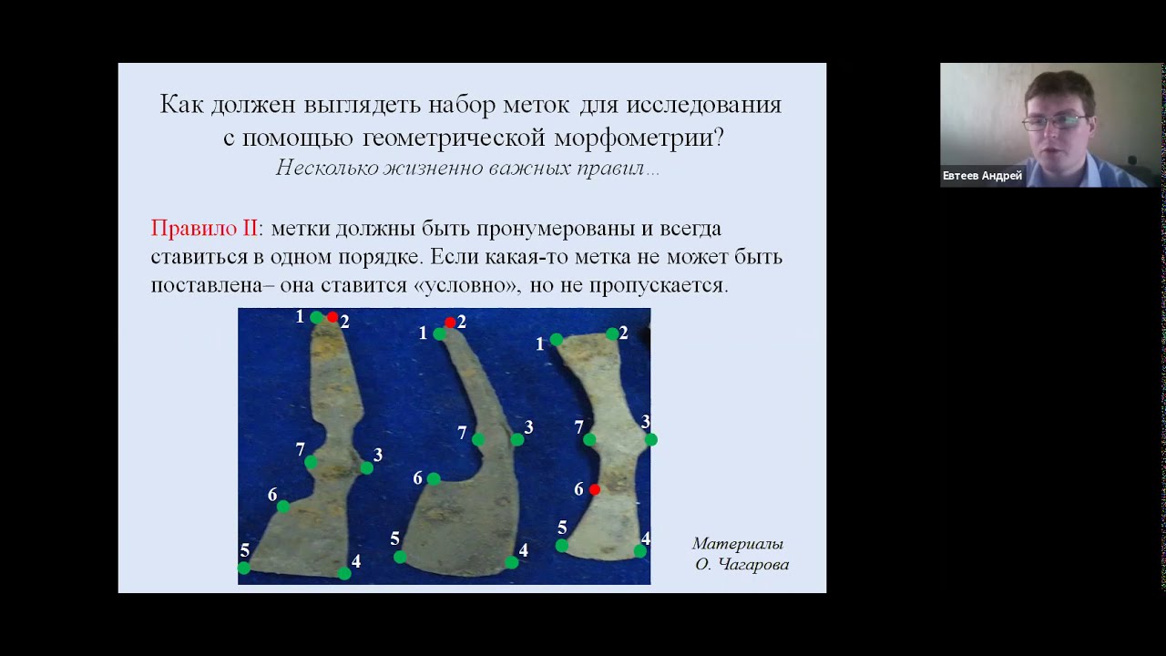 Теоретические основы метода геометрической морфометрии  и возможности его практического применения.