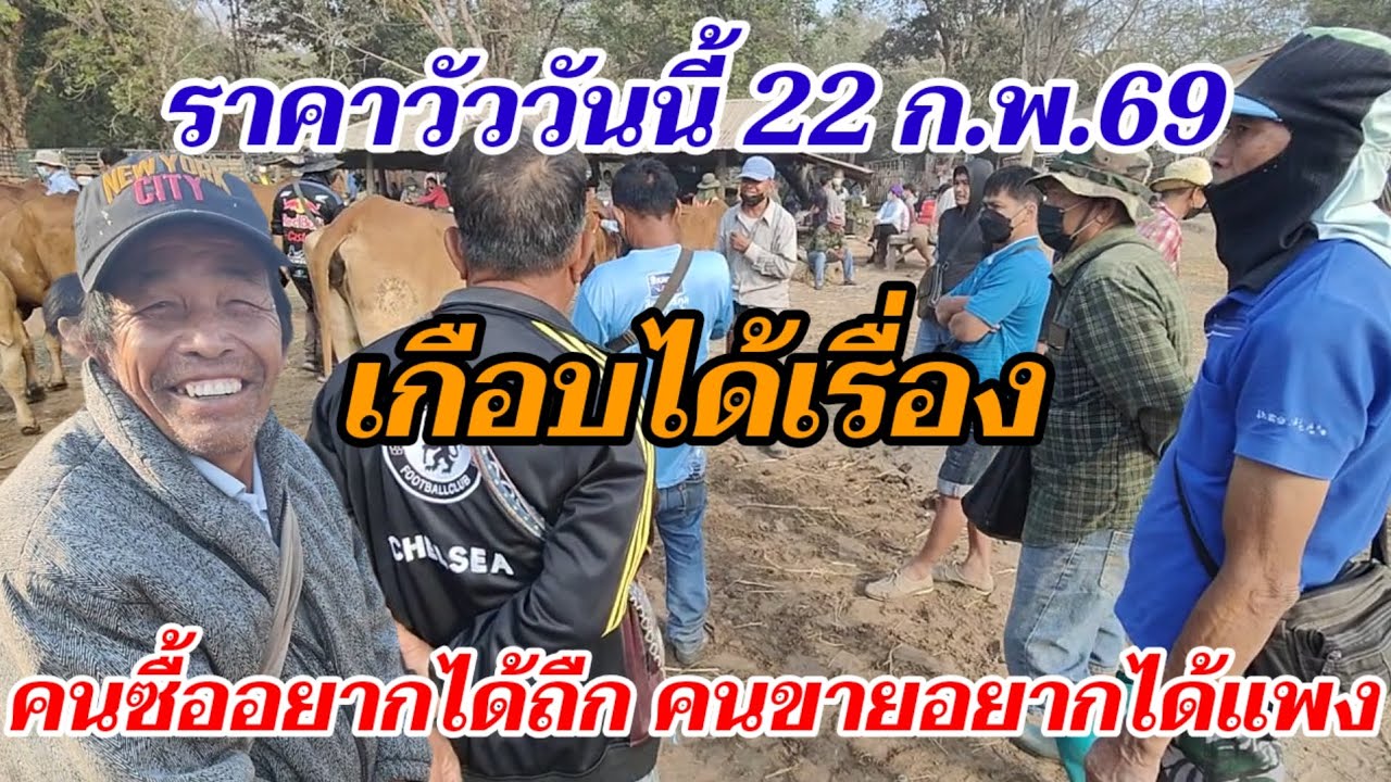 เกือบได้เรื่อง คนซื้ออยากได้ถืก คนขายอยากได้แพง ราคาวัวล่าสุด วารินชำราบ อุบลราชธานี 22ก.พ.69