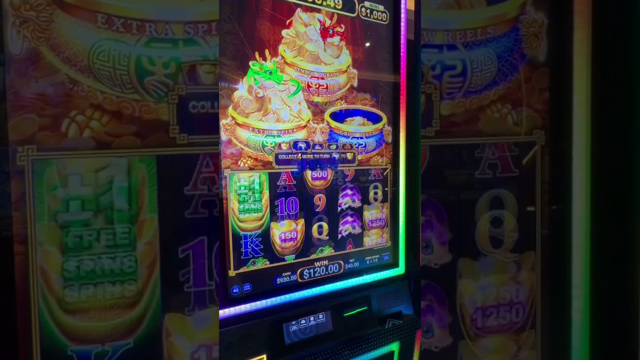 Day 24 Bonus or Bust! 