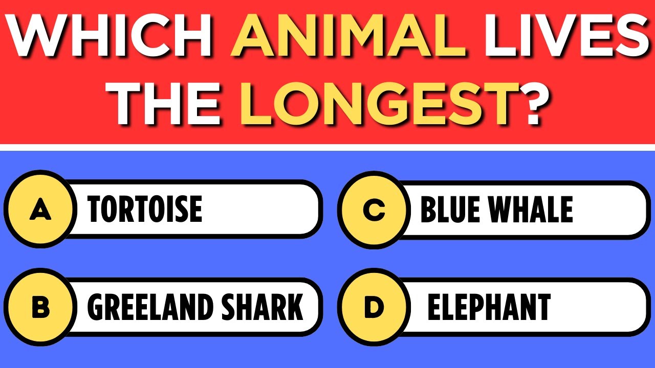 Can You Beat This Quiz? 🤯 50 General Knowledge Questions! ⚡