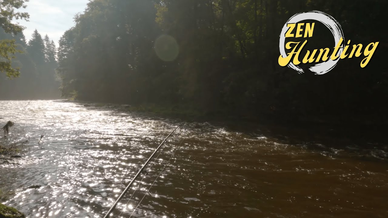 URBAN FISHING || Jelenia Góra - River Bóbr Promenade || Zen Hunting