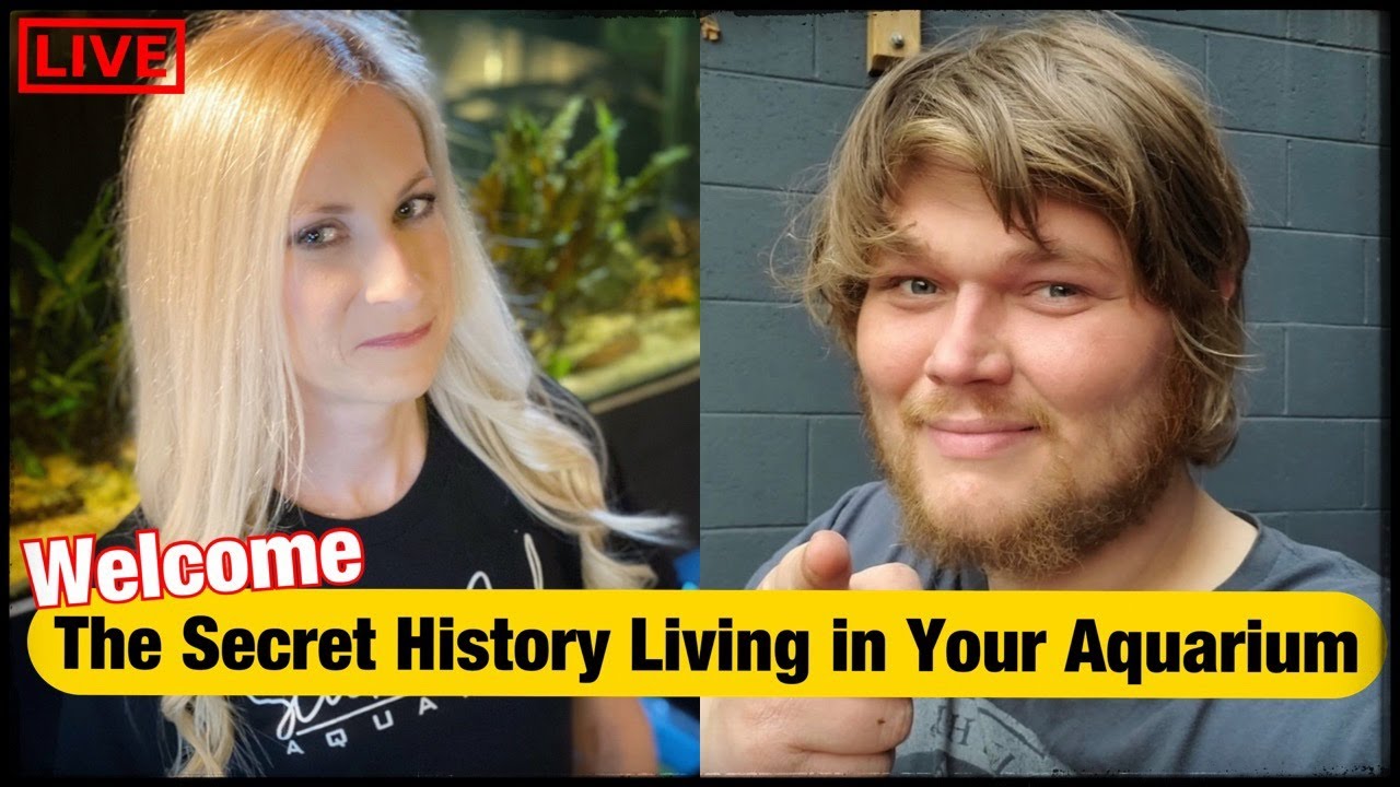 Welcome The Secret History Living in Your Aquarium!