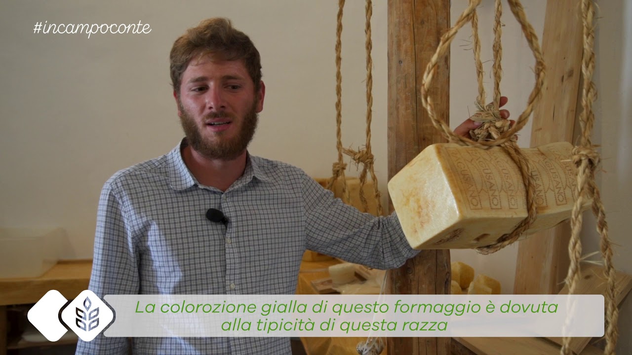 In Campo con Te | Azienda Agricola Mezzasalma Daniela