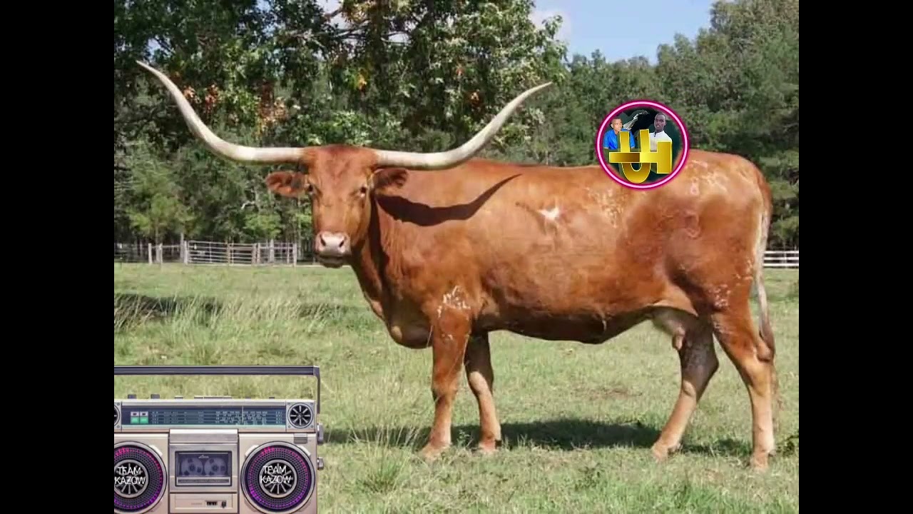 Xasuus hore    wagi arlaaditen arlaadi xada jarti Saar lo afyaal mad jinaay