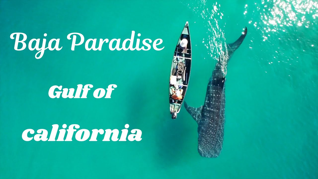 Baja Paradise in the Gulf of California